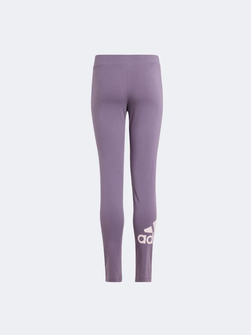 Adidas Essentials Big Logo Kids-Girls Sportswear Tight Shadow Violet/Pink