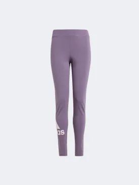 Adidas Essentials Big Logo Kids-Girls Sportswear Tight Shadow Violet/Pink