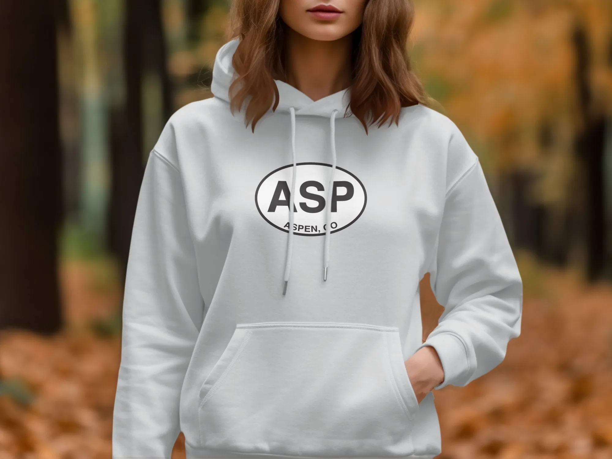 Aspen Travel Vacation Hoodie for Mountain Adventures