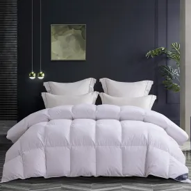 Globon Fusion All Season Down Comforter