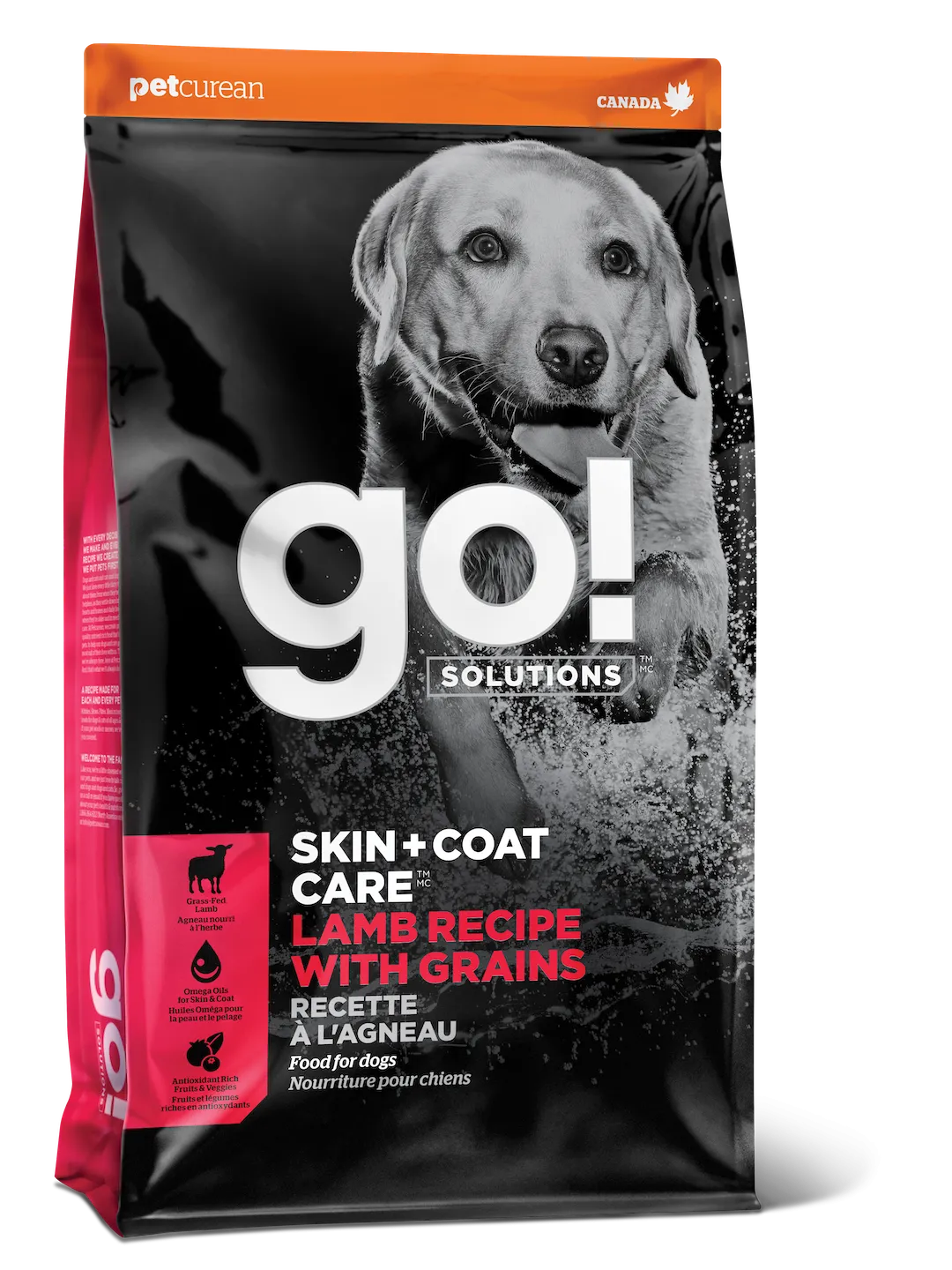 Go! Skin & Coat Care with Grain Lamb