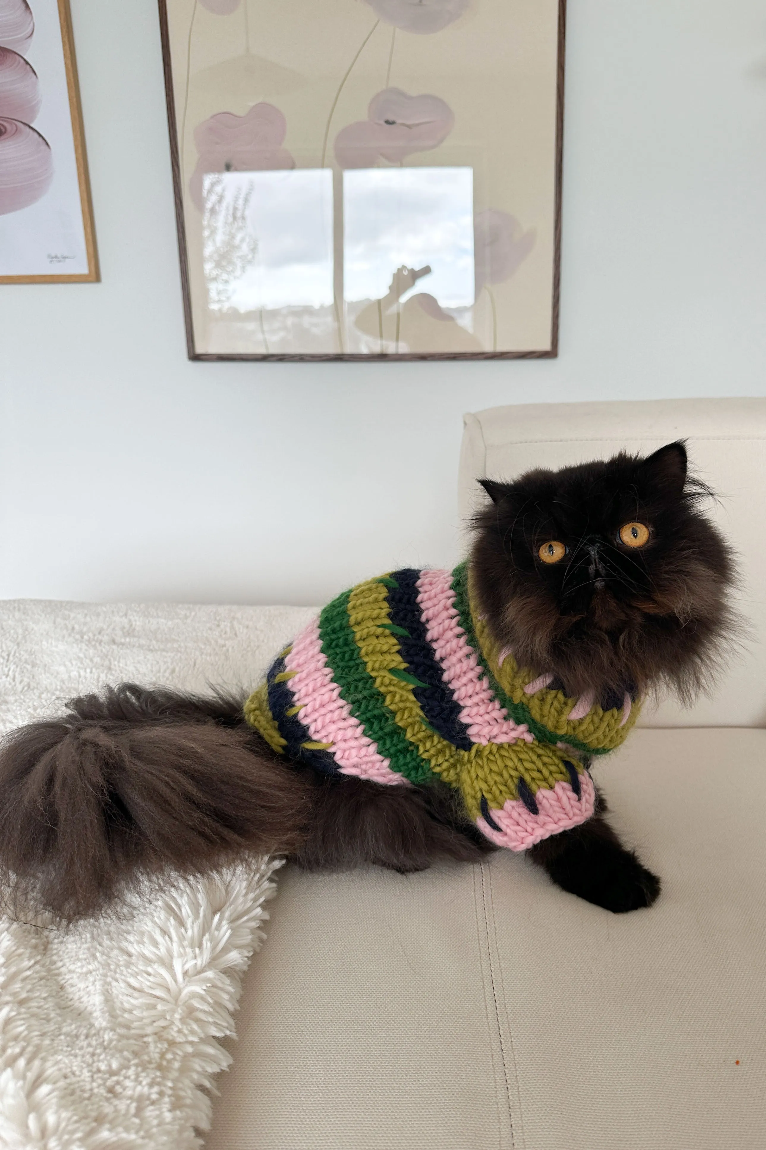 Winnie Chunky Knit Pet Sweater