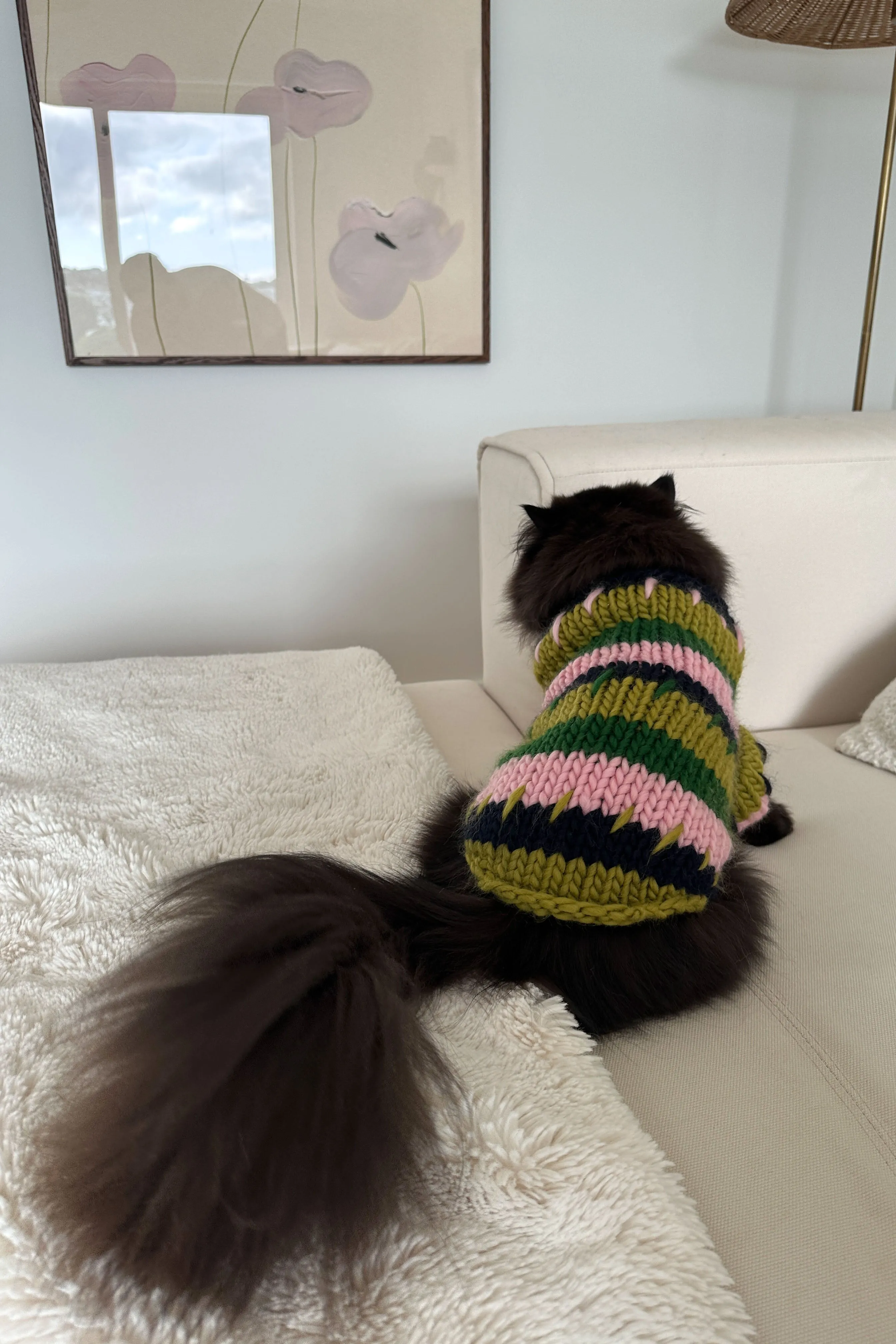 Winnie Chunky Knit Pet Sweater